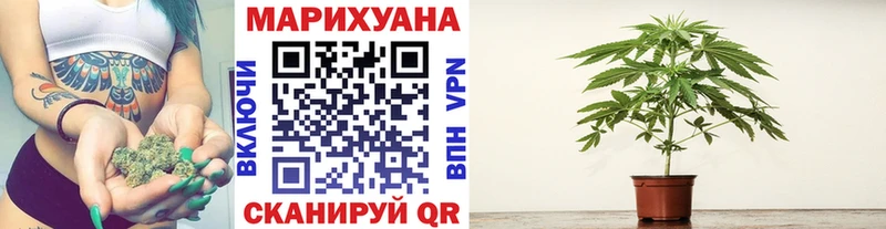 Купить наркотик Ивдель АМФ  ГАШ  Экстази  Альфа ПВП  Псилоцибиновые грибы 