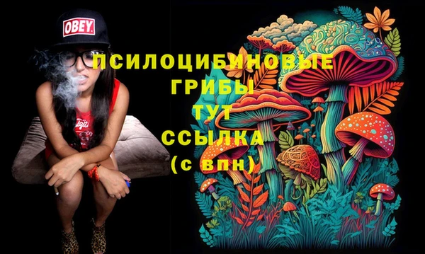 прущие крисы Алексеевка