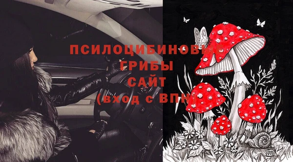 a pvp Алексин