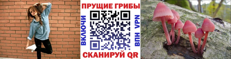 это Telegram  Ивдель  Псилоцибиновые грибы мицелий  kraken ССЫЛКА 