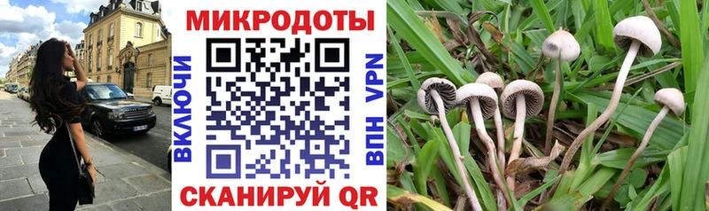 Галлюциногенные грибы Psilocybe Ивдель